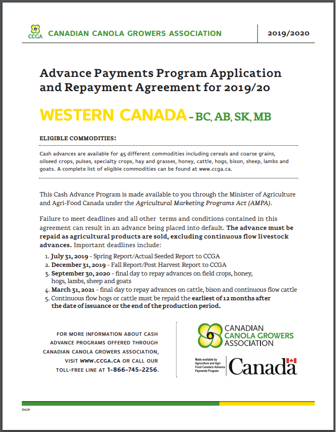 payday loans on social assistance